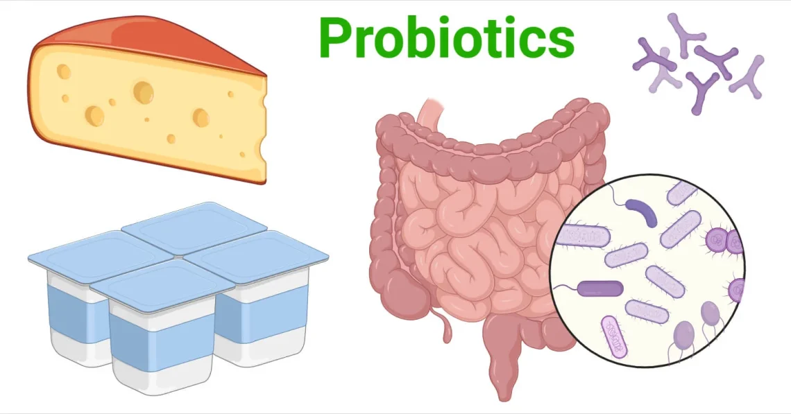 10 Powerful Benefits of Probiotics for Brain and Gut Health