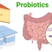10 Powerful Benefits of Probiotics for Brain and Gut Health